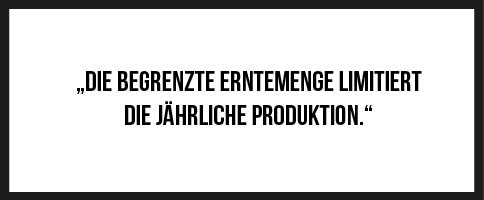 media/image/Brandstifter-09.jpg